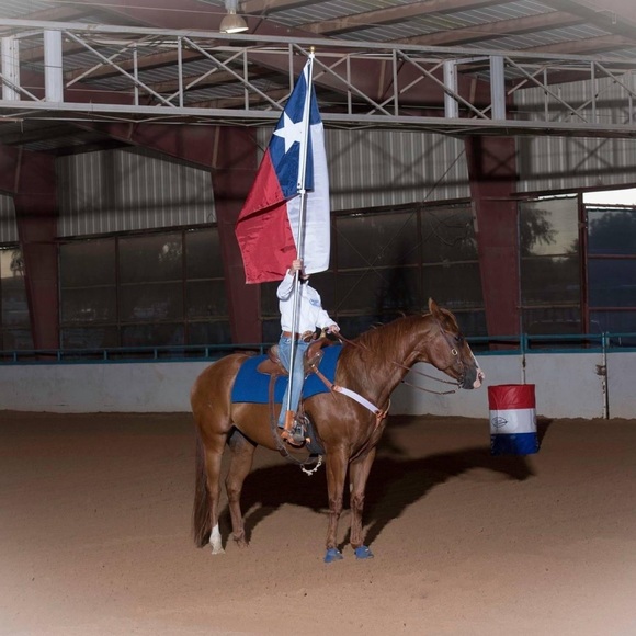 Meet your Posher, Breyer - Picture 7 of 10